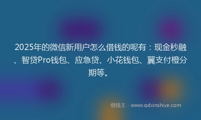 2025年的微信新用户怎么借钱的呢有：现金秒融、智贷Pro钱包、应急贷、小花钱包、翼支付橙分期等。