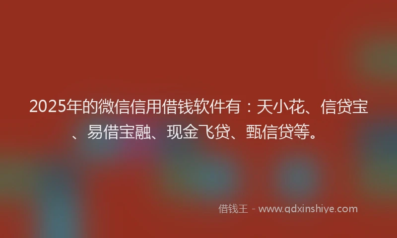 2025年的微信信用借钱软件有：天小花、信贷宝、易借宝融、现金飞贷、甄信贷等。
