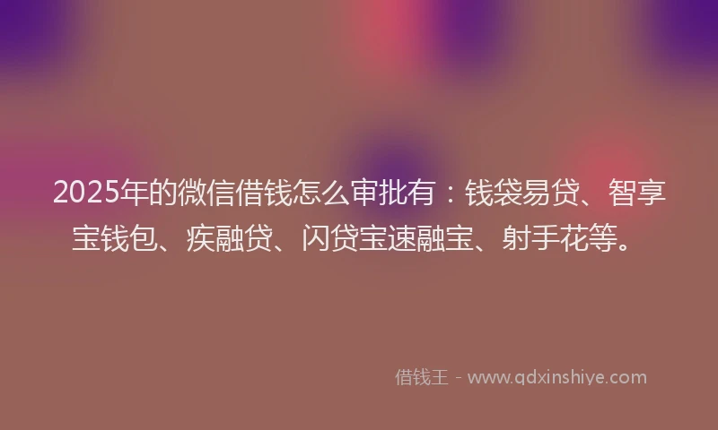 2025年的微信借钱怎么审批有：钱袋易贷、智享宝钱包、疾融贷、闪贷宝速融宝、射手花等。