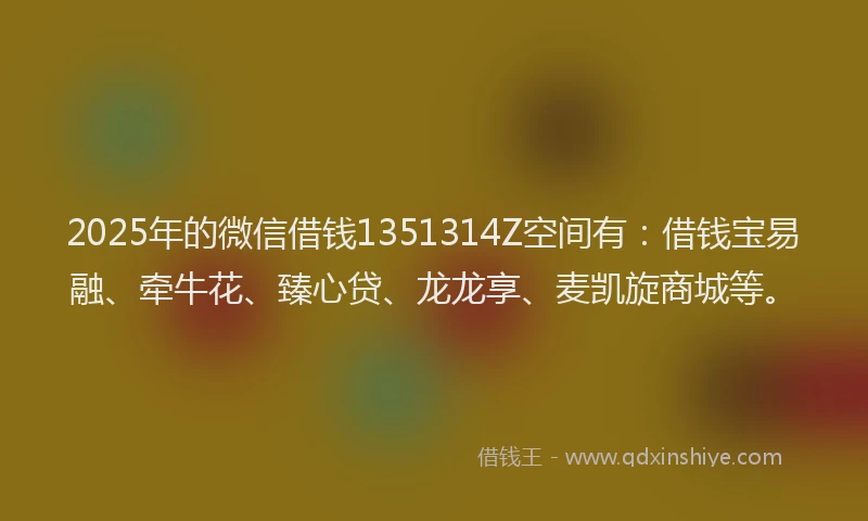 2025年的微信借钱1351314Z空间有：借钱宝易融、牵牛花、臻心贷、龙龙享、麦凯旋商城等。