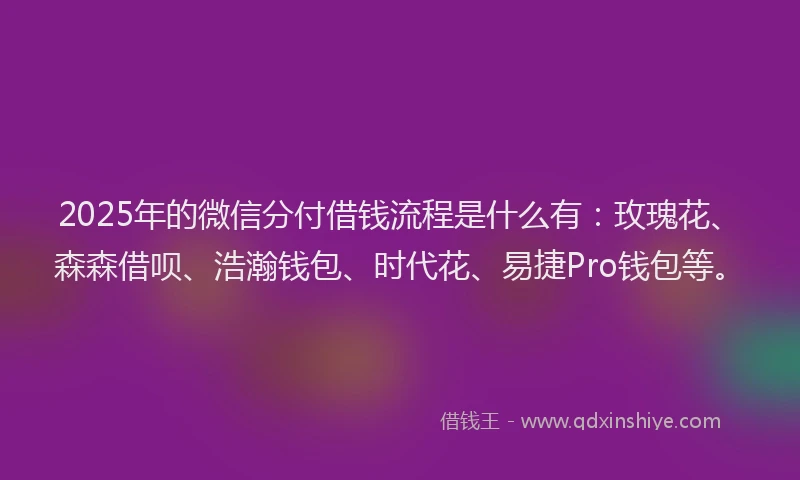 2025年的微信分付借钱流程是什么有：玫瑰花、森森借呗、浩瀚钱包、时代花、易捷Pro钱包等。