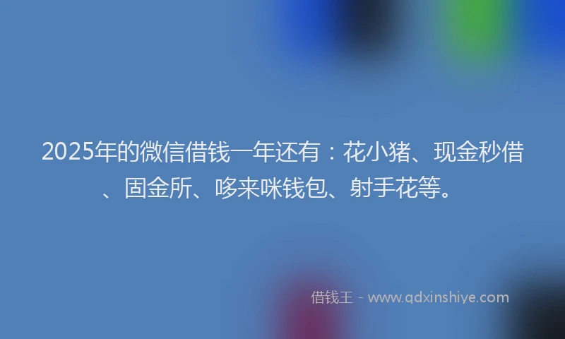 2025年的微信借钱一年还有：花小猪、现金秒借、固金所、哆来咪钱包、射手花等。