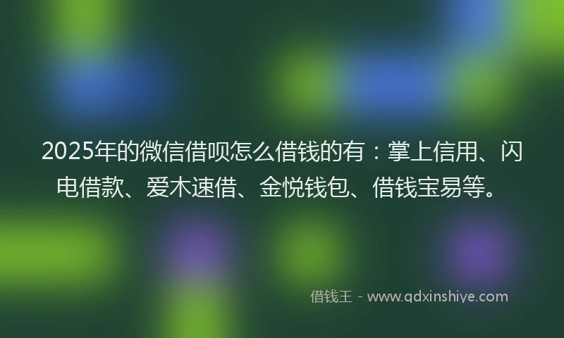 2025年的微信借呗怎么借钱的有：掌上信用、闪电借款、爱木速借、金悦钱包、借钱宝易等。