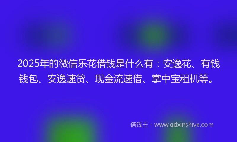 2025年的微信乐花借钱是什么有：安逸花、有钱钱包、安逸速贷、现金流速借、掌中宝租机等。
