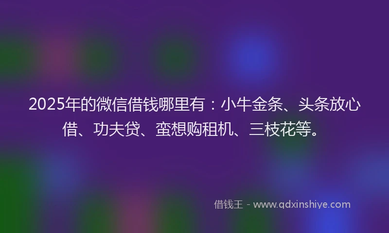 2025年的微信借钱哪里有：小牛金条、头条放心借、功夫贷、蛮想购租机、三枝花等。