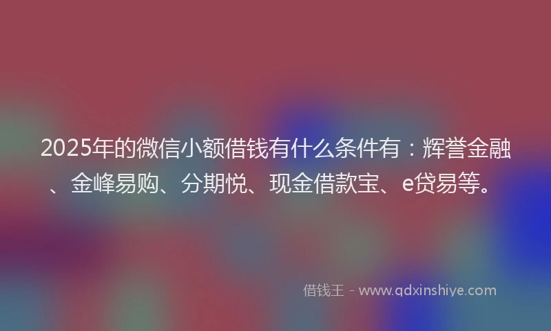2025年的微信小额借钱有什么条件有：辉誉金融、金峰易购、分期悦、现金借款宝、e贷易等。
