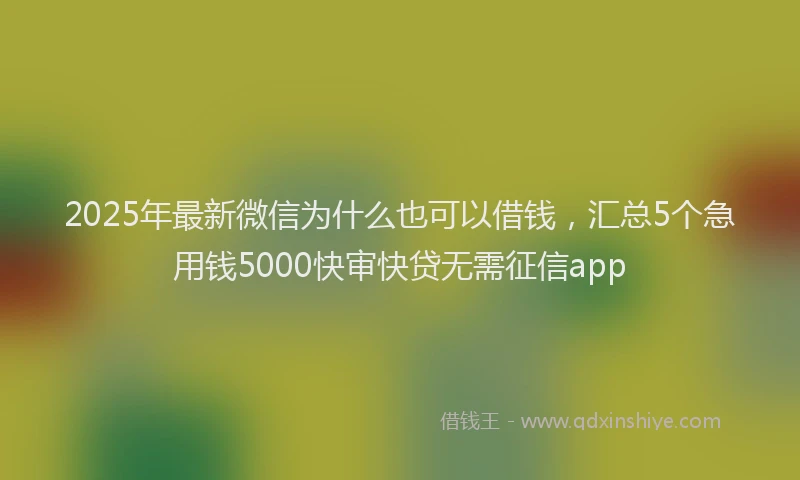 2025年最新微信为什么也可以借钱，汇总5个急用钱5000快审快贷无需征信app
