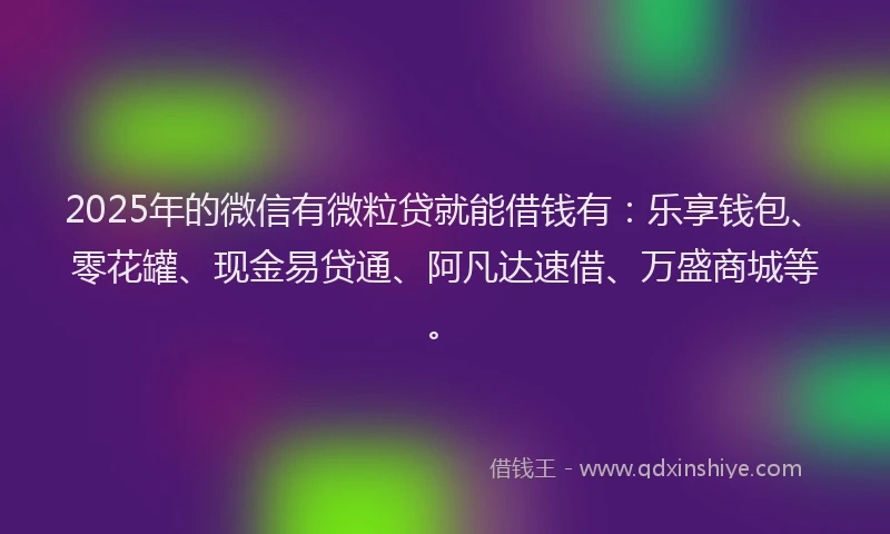2025年的微信有微粒贷就能借钱有：乐享钱包、零花罐、现金易贷通、阿凡达速借、万盛商城等。