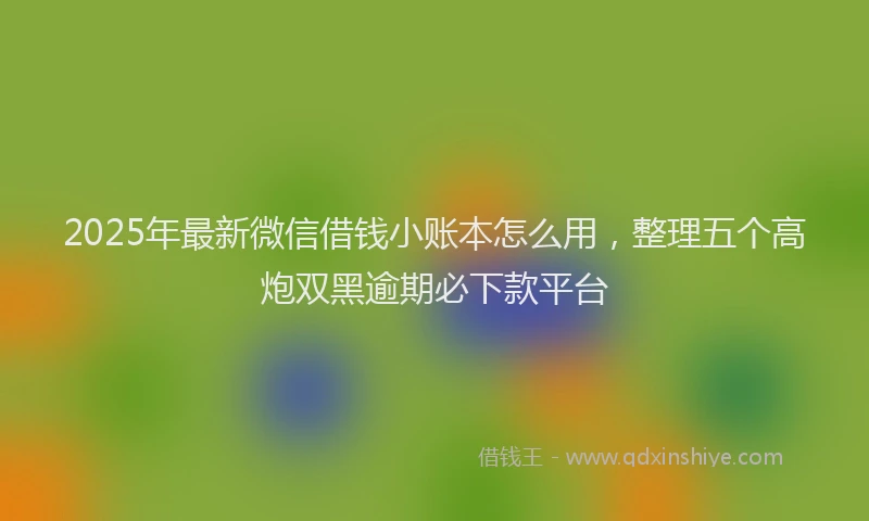 2025年最新微信借钱小账本怎么用，整理五个高炮双黑逾期必下款平台