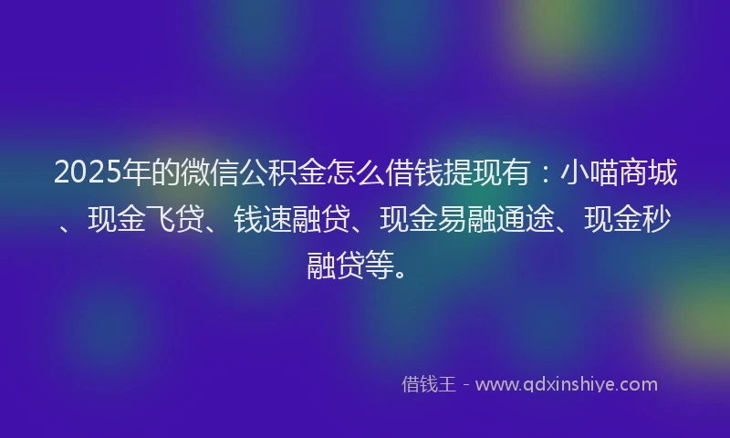 2025年的微信公积金怎么借钱提现有：小喵商城、现金飞贷、钱速融贷、现金易融通途、现金秒融贷等。