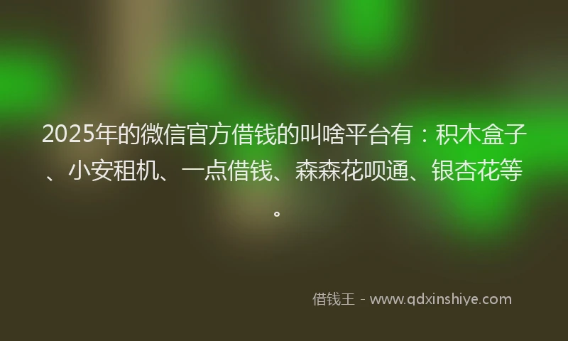 2025年的微信官方借钱的叫啥平台有：积木盒子、小安租机、一点借钱、森森花呗通、银杏花等。
