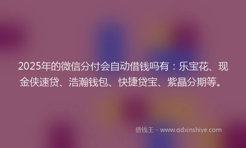 2025年的微信分付会自动借钱吗有：乐宝花、现金侠速贷、浩瀚钱包、快捷贷宝、紫晶分期等。