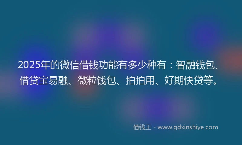 2025年的微信借钱功能有多少种有：智融钱包、借贷宝易融、微粒钱包、拍拍用、好期快贷等。