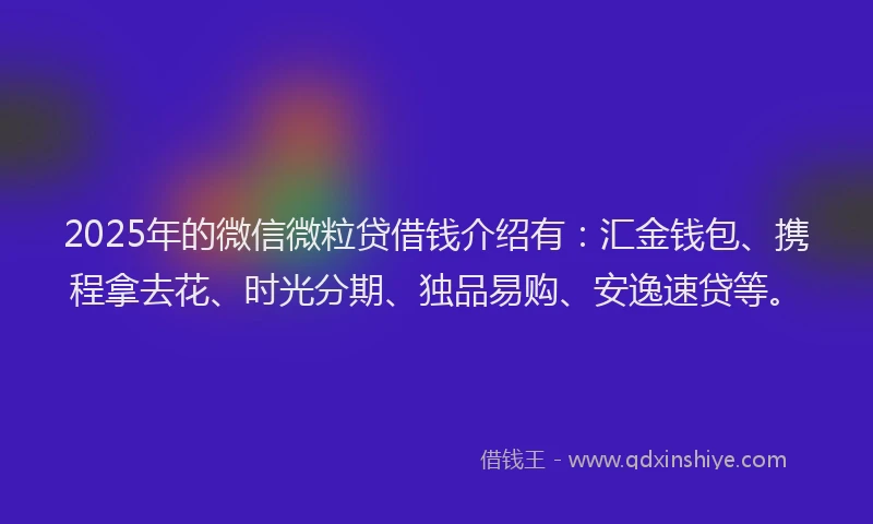 2025年的微信微粒贷借钱介绍有：汇金钱包、携程拿去花、时光分期、独品易购、安逸速贷等。