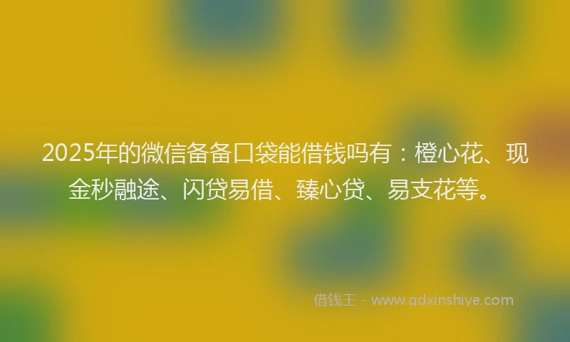 2025年的微信备备口袋能借钱吗有：橙心花、现金秒融途、闪贷易借、臻心贷、易支花等。