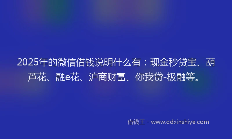 2025年的微信借钱说明什么有：现金秒贷宝、葫芦花、融e花、沪商财富、你我贷-极融等。