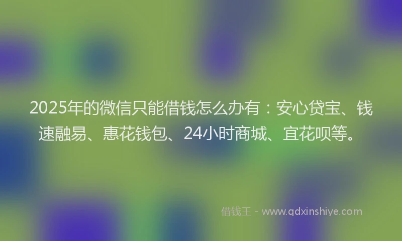 2025年的微信只能借钱怎么办有：安心贷宝、钱速融易、惠花钱包、24小时商城、宜花呗等。