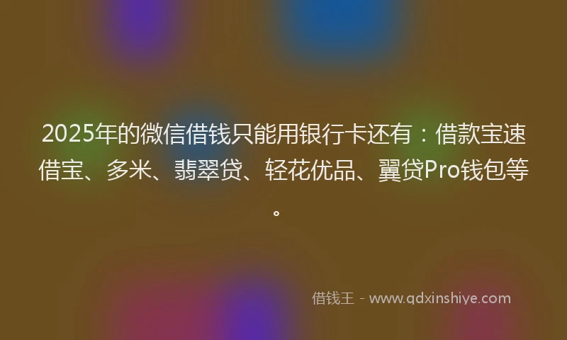 2025年的微信借钱只能用银行卡还有：借款宝速借宝、多米、翡翠贷、轻花优品、翼贷Pro钱包等。