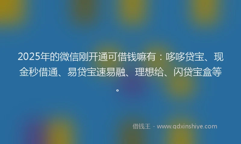 2025年的微信刚开通可借钱嘛有：哆哆贷宝、现金秒借通、易贷宝速易融、理想给、闪贷宝盒等。