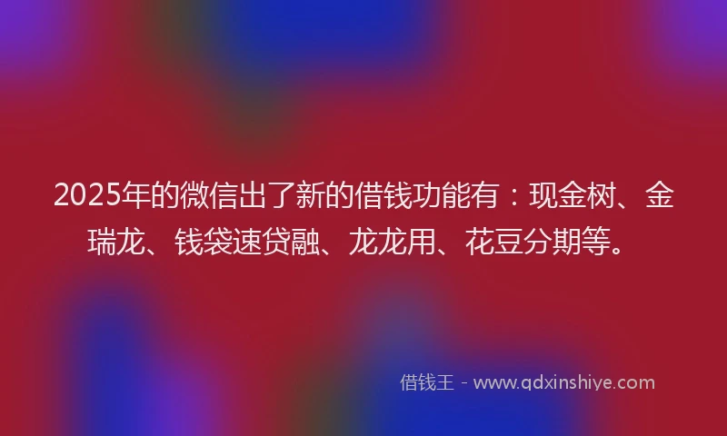 2025年的微信出了新的借钱功能有：现金树、金瑞龙、钱袋速贷融、龙龙用、花豆分期等。