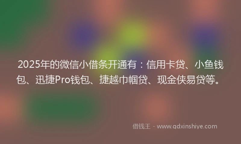 2025年的微信小借条开通有：信用卡贷、小鱼钱包、迅捷Pro钱包、捷越巾帼贷、现金侠易贷等。