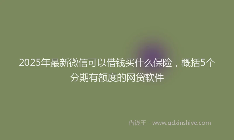 2025年最新微信可以借钱买什么保险，概括5个分期有额度的网贷软件