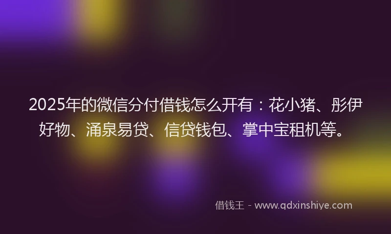 2025年的微信分付借钱怎么开有：花小猪、彤伊好物、涌泉易贷、信贷钱包、掌中宝租机等。