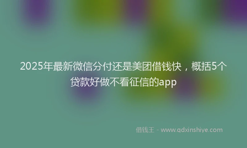 2025年最新微信分付还是美团借钱快，概括5个贷款好做不看征信的app