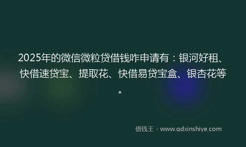 2025年的微信微粒贷借钱咋申请有：银河好租、快借速贷宝、提取花、快借易贷宝盒、银杏花等。