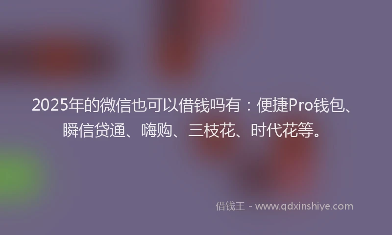 2025年的微信也可以借钱吗有：便捷Pro钱包、瞬信贷通、嗨购、三枝花、时代花等。