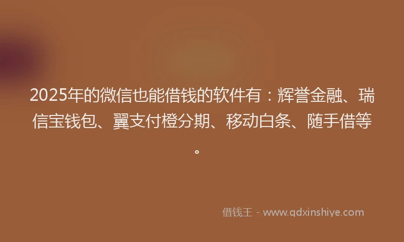 2025年的微信也能借钱的软件有：辉誉金融、瑞信宝钱包、翼支付橙分期、移动白条、随手借等。