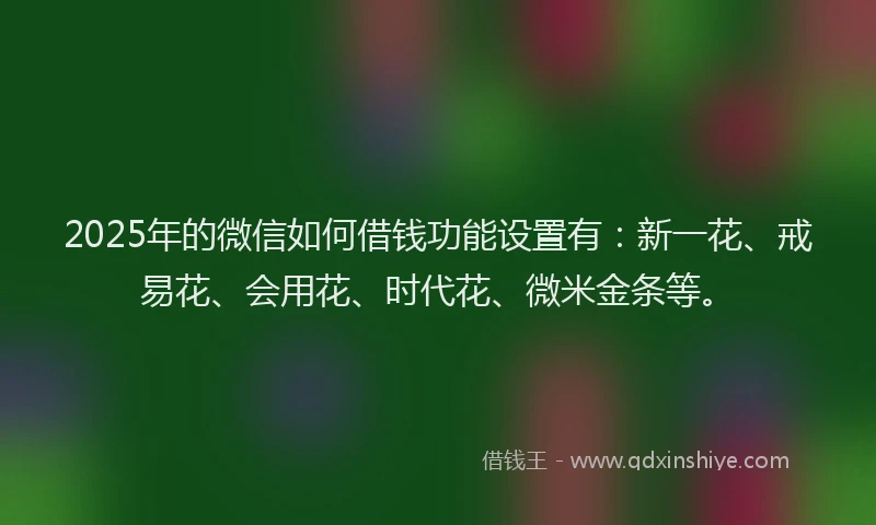 2025年的微信如何借钱功能设置有：新一花、戒易花、会用花、时代花、微米金条等。