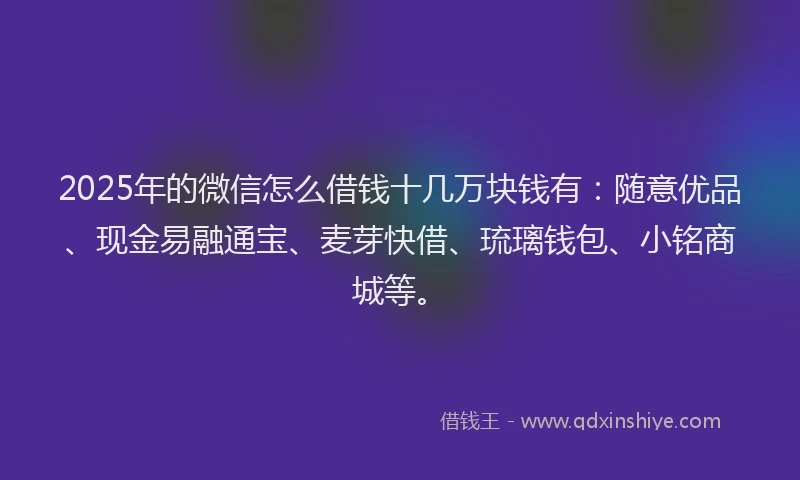 2025年的微信怎么借钱十几万块钱有：随意优品、现金易融通宝、麦芽快借、琉璃钱包、小铭商城等。