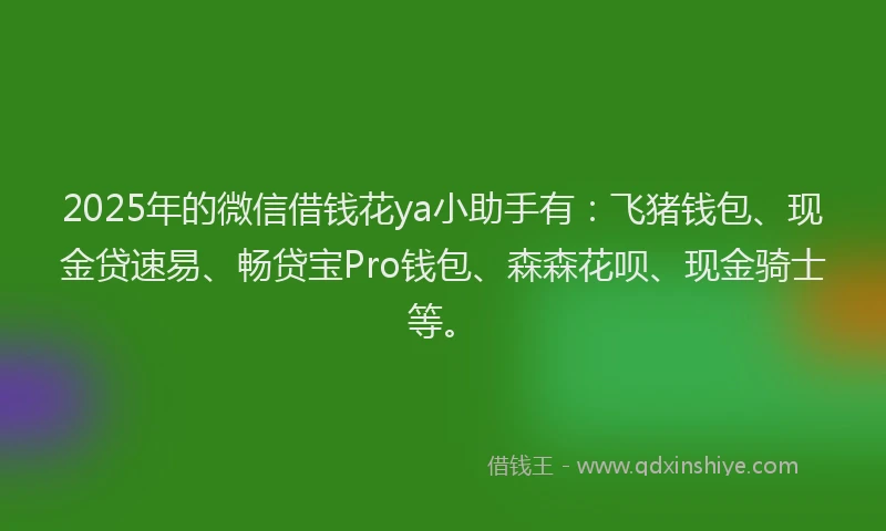 2025年的微信借钱花ya小助手有：飞猪钱包、现金贷速易、畅贷宝Pro钱包、森森花呗、现金骑士等。
