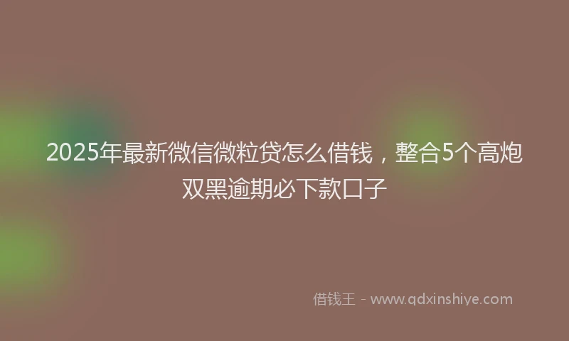 2025年最新微信微粒贷怎么借钱，整合5个高炮双黑逾期必下款口子