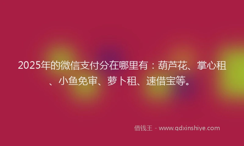 2025年的微信支付分在哪里有：葫芦花、掌心租、小鱼免审、萝卜租、速借宝等。