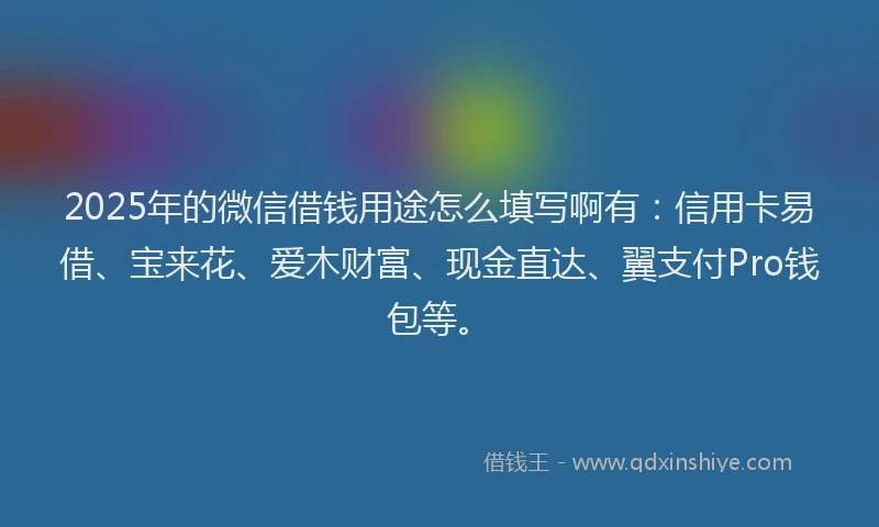 2025年的微信借钱用途怎么填写啊有：信用卡易借、宝来花、爱木财富、现金直达、翼支付Pro钱包等。