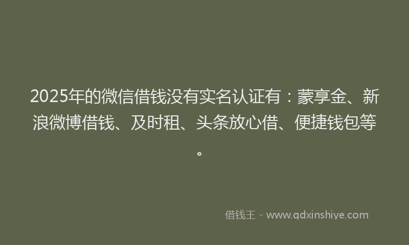 2025年的微信借钱没有实名认证有：蒙享金、新浪微博借钱、及时租、头条放心借、便捷钱包等。
