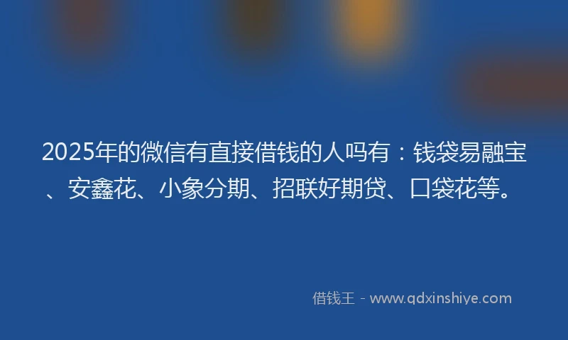 2025年的微信有直接借钱的人吗有：钱袋易融宝、安鑫花、小象分期、招联好期贷、口袋花等。
