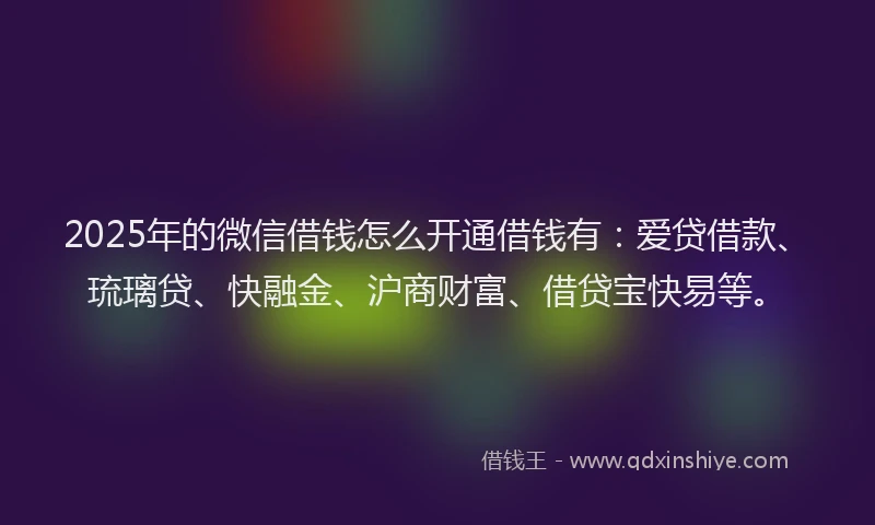 2025年的微信借钱怎么开通借钱有：爱贷借款、琉璃贷、快融金、沪商财富、借贷宝快易等。