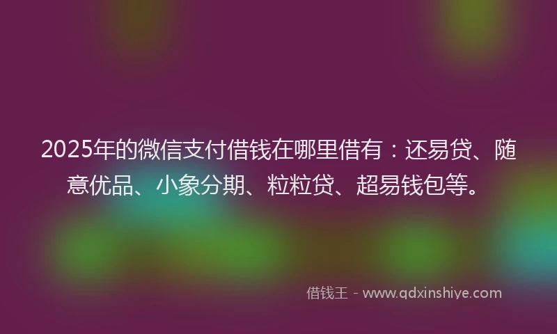 2025年的微信支付借钱在哪里借有：还易贷、随意优品、小象分期、粒粒贷、超易钱包等。