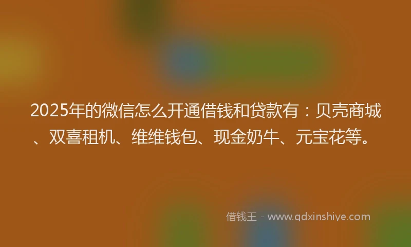 2025年的微信怎么开通借钱和贷款有：贝壳商城、双喜租机、维维钱包、现金奶牛、元宝花等。