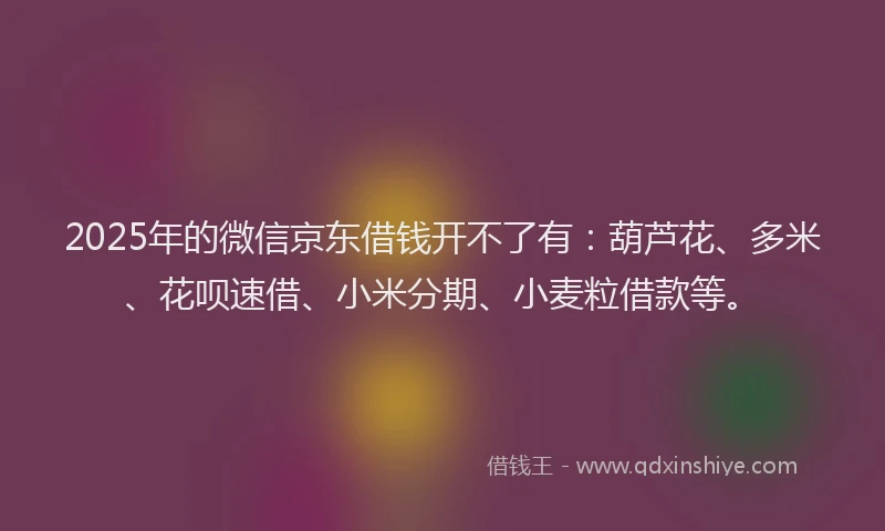 2025年的微信京东借钱开不了有：葫芦花、多米、花呗速借、小米分期、小麦粒借款等。