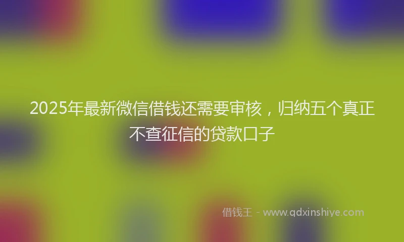 2025年最新微信借钱还需要审核，归纳五个真正不查征信的贷款口子