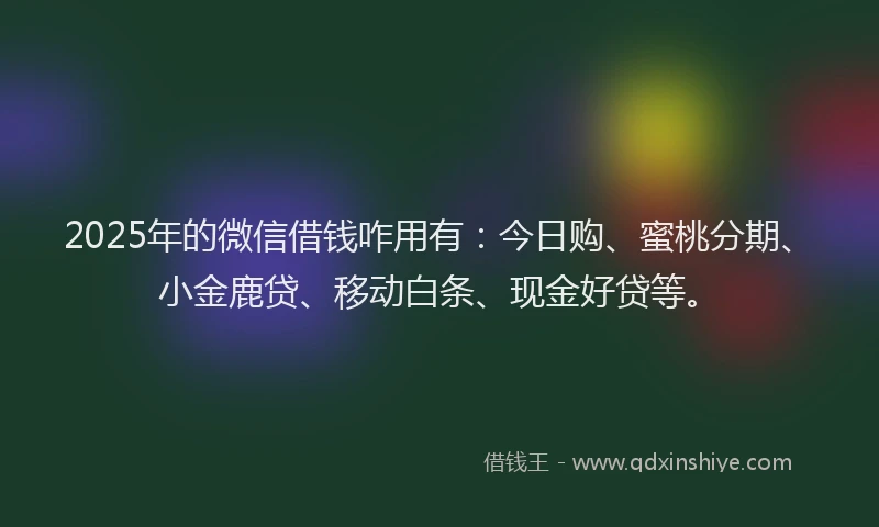 2025年的微信借钱咋用有：今日购、蜜桃分期、小金鹿贷、移动白条、现金好贷等。