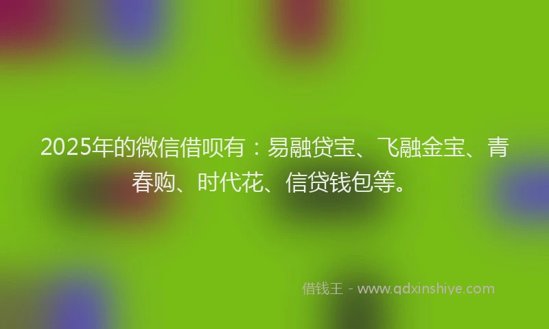 2025年的微信借呗有：易融贷宝、飞融金宝、青春购、时代花、信贷钱包等。