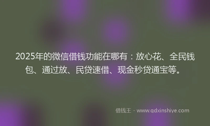 2025年的微信借钱功能在哪有：放心花、全民钱包、通过放、民贷速借、现金秒贷通宝等。