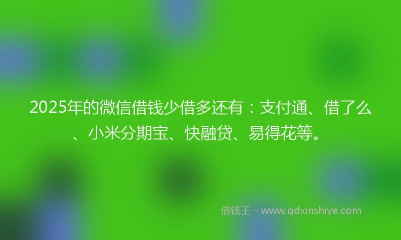 2025年的微信借钱少借多还有：支付通、借了么、小米分期宝、快融贷、易得花等。