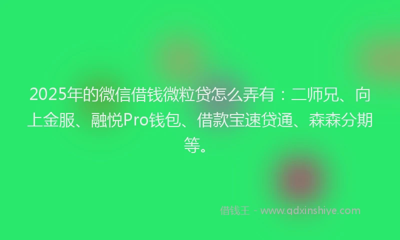 2025年的微信借钱微粒贷怎么弄有:二师兄、向上金服、融悦Pro钱包、借款宝速贷通、森森分期等。