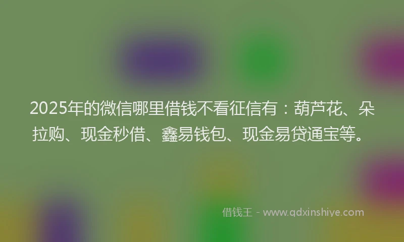 2025年的微信哪里借钱不看征信有：葫芦花、朵拉购、现金秒借、鑫易钱包、现金易贷通宝等。